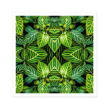 Just the Headlines - Trippy Fractal Leaf Art Print / Canvas, Trippy Fractal Leaf, Kaleidoscopic Leaf Print, Verdant Vortex