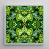 Just the Headlines - Trippy Fractal Leaf Art Print / Canvas Square-framed Artwork Vibrant Symmetrical Pattern Green Leaves Yellow,