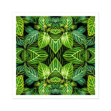 Just the Headlines - Trippy Fractal Leaf Art Print / Canvas, 12x12’’ / 31x31cm / Unframed / White Border, Posters Prints & Visual Artwork,