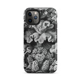 Hexacoralla sechsstrahlige Sternkorallen - Ernst Haeckel iPhone-Hülle, 11 Pro / Matt, Handyhüllen, Toby Leon