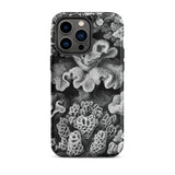 Hexacoralla sechsstrahlige Sternkorallen - Ernst Haeckel iPhone-Hülle, 14 Pro Max / Matt, Handyhüllen, Toby Leon