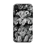 Hexacoralla Six-rayed Star Corals - Ernst Haeckel Phone Case Iphone Xr / Matte Black White Coral-patterned Phone Case Ernst Haeckel,
