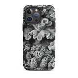 Hexacoralla Six-rayed Star Corals - Ernst Haeckel Phone Case Iphone 16 Pro Max / Matte Coral-patterned Phone Case Ernst Haeckel, Sixfold