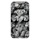 Hexacoralla Six-rayed Star Corals - Ernst Haeckel Phone Case Iphone 8 / Matte Coral-patterned Phone Case Ernst Haeckel, Sixfold Symmetry