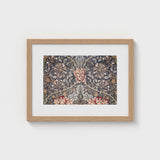 Honeysuckle - William Morris Floral Art Print / Canvas Morris’s Botanical, Wonderland, Decorative Prints