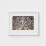 Honeysuckle - William Morris Floral Art Print / Canvas Morris’s Botanical, Wonderland, Decorative Prints