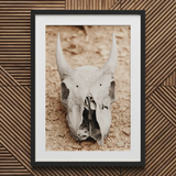 Stampa d'arte Horned Skull / Tela, 20x30'' / 51x76cm / Cornice nera / Passe-partout, Poster, stampe e opere d'arte visiva, Toby Leon