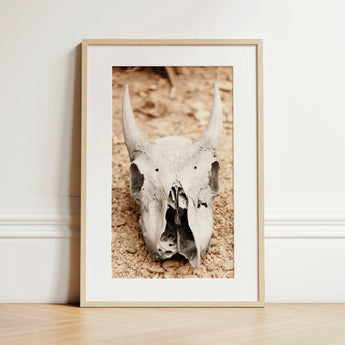 Horned Skull Art Print / Canvas, 12x18’’ / 31x46cm / Natural Frame / Matboard, Posters Prints & Visual Artwork, Toby Leon