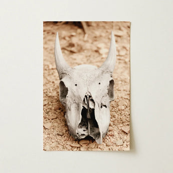 Horned Skull Art Print / Canvas Weathered Off-white Animal Prominent Horns Rests Bed, Bleached Bone Rises, Ancient Questions Left Prints