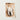 Framed Photograph Weathered Off-white Animal Skull Prominent Horns Horned Art, Bleached Bone Rises, Ancient Questions Left