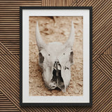 Horned Skull Art Print / Canvas Framed Animal, Bleached Bone Rises, Ancient Questions Left Prints