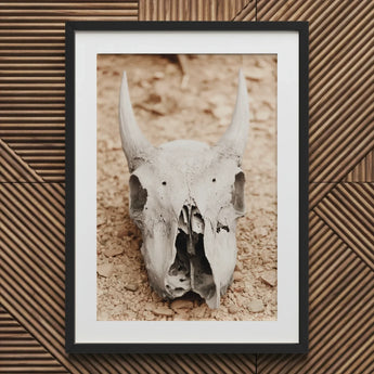 Horned Skull Art Print / Canvas Framed Animal, Bleached Bone Rises, Ancient Questions Left Prints