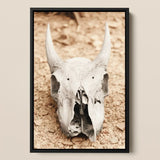 Horned Skull Art Print / Canvas Framed Black-and-white Photograph Weathered White Animal Skull Prominent Horned Art, Bleached Bone Rises,