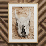 Horned Skull Art Print / Canvas Framed Photo Print Horned Animal Skull Art, Bleached Bone Rises, Ancient Questions Left
