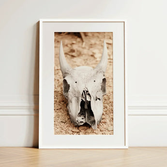 Horned Skull Art Print / Canvas Framed Photograph Weathered Off-white Animal Skull Prominent Horns Horned Art, Bleached Bone Rises, Ancient