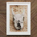 Horned Skull Art Print / Canvas White-framed Print Weathered Animal Skull Horned Art, Bleached Bone Rises, Ancient Questions Left