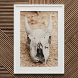 Horned Skull Art Print / Canvas White-framed Weathered Animal, Bleached Bone Rises, Ancient Questions Left Prints