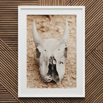 Horned Skull Art Print / Canvas White-framed Weathered Animal, Bleached Bone Rises, Ancient Questions Left Prints