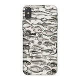 Ittiologia - Custodia Iphone Oliver Goldsmith, x / Opaca, Custodie per Cellulari, Toby Leon