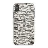 Ittiologia - Custodia Iphone Oliver Goldsmith, Xs / Opaca, Custodie per Cellulari, Toby Leon