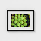 Ingenues - Emerald Green Lotus Bud Art Print / Canvas, Verdant Vortex, Prints