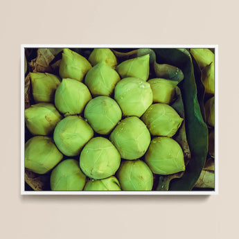 Ingenues - Emerald Green Lotus Bud Art Print / Canvas, 16x12’’ / 41x31cm / White Frame, Posters Prints & Visual Artwork, Toby Leon