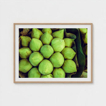 Ingenues - Emerald Green Lotus Bud Art Print / Canvas, Verdant Vortex, Prints