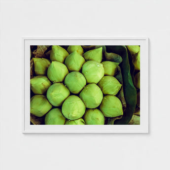 Ingenues - Emerald Green Lotus Bud Art Print / Canvas, Verdant Vortex, Prints