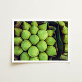 Ingenues - Emerald Green Lotus Bud Art Print / Canvas, Verdant Vortex, Prints