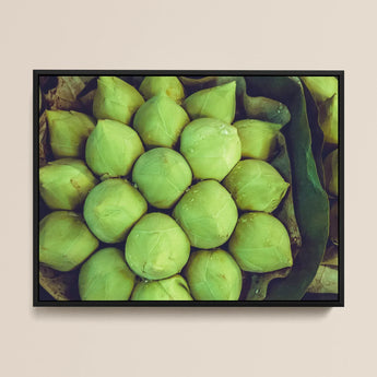 Ingenues - Emerald Green Lotus Bud Art Print / Canvas Framed Photograph Cluster Fresh Light Green Round Vegetables Emerald Lotus, Verdant