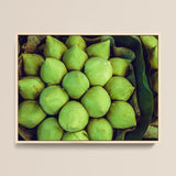 Ingenues - Emerald Green Lotus Bud Art Print / Canvas Framed Photograph Collection Fresh Vibrant Green Lotus Seed Emerald Lotus, Verdant