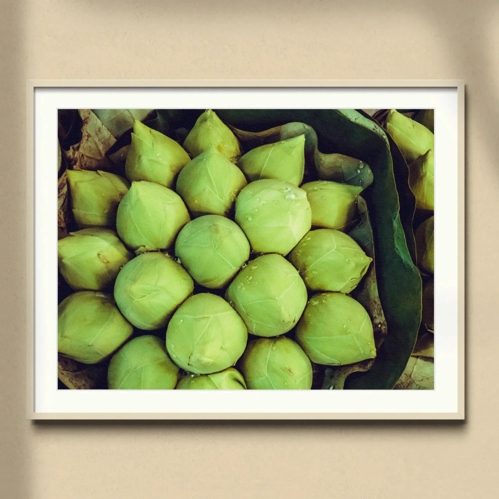Ingenues - Emerald Green Lotus Bud Art Print, Fresh Green Coconuts Arranged Neat Pattern