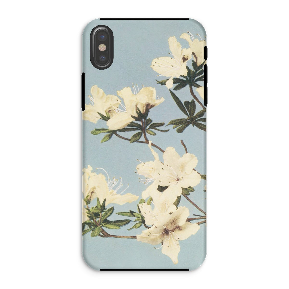 Japanese Azaleas Ogawa Kazumasa Iphone Case, Xs / Matte, Phone Case Floral Design White Blossoms Light Blue
