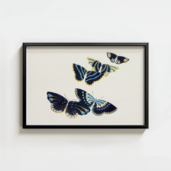 Black-framed Artwork Elegant Illustration Three Butterflies Navy Blue Kamisaka Sekka, Japan’s Artistic Renaissance, Deftly