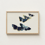 Framed Artwork Four Intricately Designed Butterflies Navy Blue Kamisaka Sekka, Japan’s Artistic Renaissance, Deftly