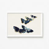 Elegant Framed Artwork Intricately Illustrated Butterflies Deep Navy Kamisaka Sekka, Japan’s Artistic Renaissance, Blue Deftly