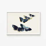Framed Artwork Four Intricately Illustrated Butterflies Navy Blue Kamisaka Sekka, Japan’s Artistic Renaissance, Deftly