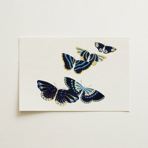 Japanese Blue Butterflies too - Kamisaka Sekka Art Print / Canvas, 18x12’’ / 46x31cm / Unframed / no Border, Posters Prints & Visual