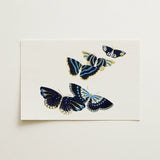 Japanese Blue Butterflies too - Kamisaka Sekka Art Print / Canvas, 18x12’’ / 46x31cm / Unframed / no Border, Posters Prints & Visual