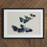 Japanese Blue Butterflies too - Kamisaka Sekka Art Print / Canvas Black-framed Artwork Three Intricately Detailed Butterflies Navy Blue