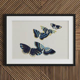 Japanese Blue Butterflies too - Kamisaka Sekka Art Print / Canvas Black-framed Artwork Three Intricately Detailed Navy, Japan’s Artistic