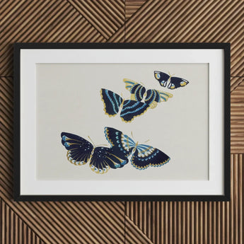 Japanese Blue Butterflies too - Kamisaka Sekka Art Print / Canvas Black-framed Artwork Three Intricately Detailed Navy, Japan’s Artistic
