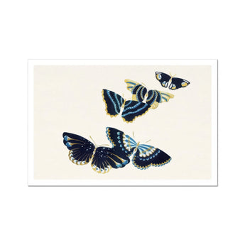 Japanese Blue Butterflies too - Kamisaka Sekka Art Print / Canvas Four Black Yellow Accents Painted Delicate, Japan’s Artistic Renaissance,