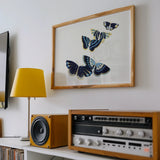 Japanese Blue Butterflies too - Kamisaka Sekka Art Print / Canvas Framed Artwork Blue Black Butterflies Kamisaka Sekka, Japan’s Artistic