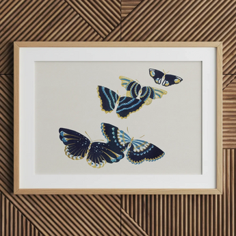 Japanese Blue Butterflies too - Kamisaka Sekka Art Print / Canvas Framed Artwork Three Intricately Illustrated Butterflies Navy Blue