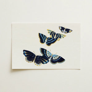 Japanese Blue Butterflies too - Kamisaka Sekka Art Print / Canvas Rectangular Four Intricately Illustrated Navy, Japan’s Artistic