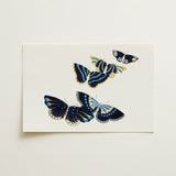 Japanese Blue Butterflies too - Kamisaka Sekka Art Print / Canvas Rectangular Art Print Four Intricately Illustrated Butterflies Navy