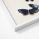 Framed Artwork Elegant Navy Blue Gold Butterflies Cream-colored Kamisaka Sekka, Japan’s Artistic Renaissance, Deftly