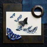 Japanese Blue Butterflies - Kamisaka Sekka Meiji Art Print / Canvas Blue White Ceramic Butterfly Ornaments Arranged Printed Butterflies