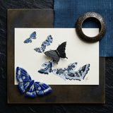 Japanese Blue Butterflies - Kamisaka Sekka Meiji Art Print / Canvas White Ceramic Butterfly Ornaments Arranged Printed Sekka’s, Japan’s